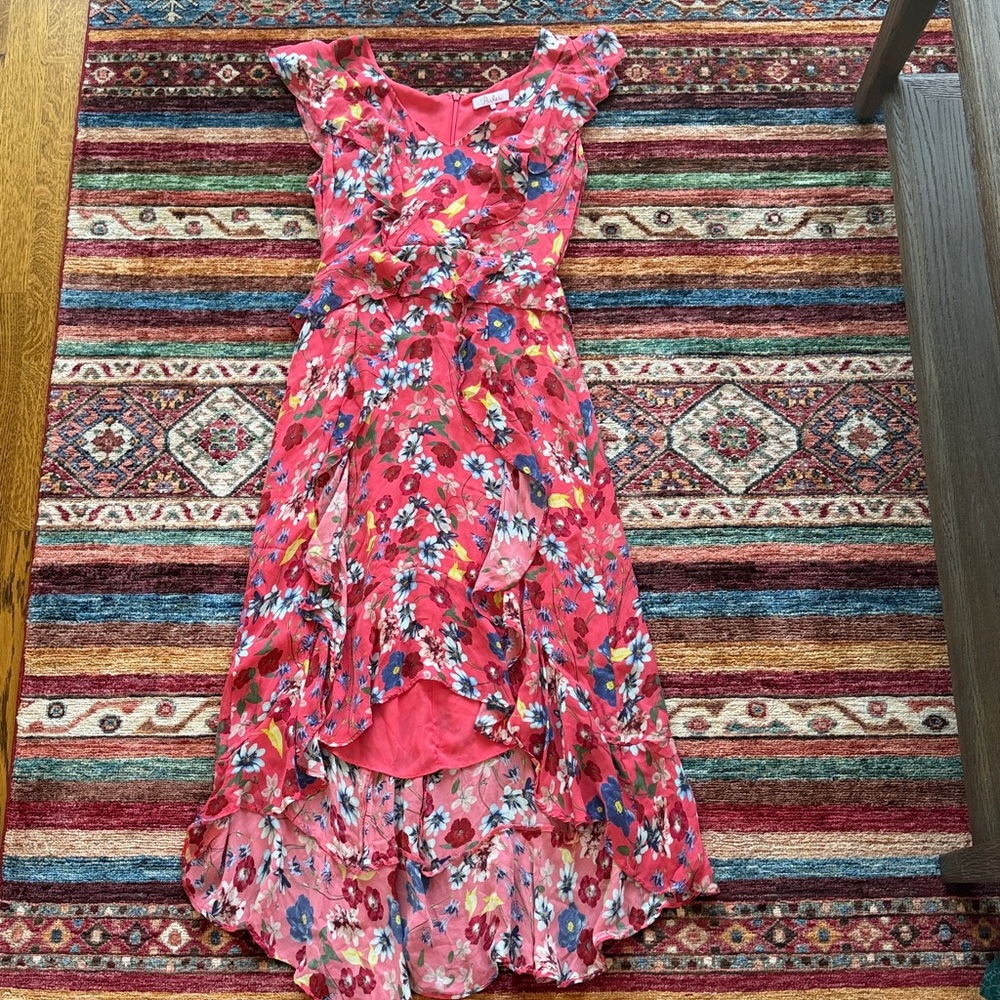 Silk floral dress by Parker. Size 4